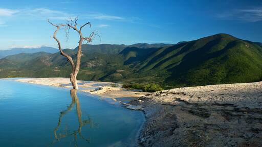 Zimatlán de Álvarez