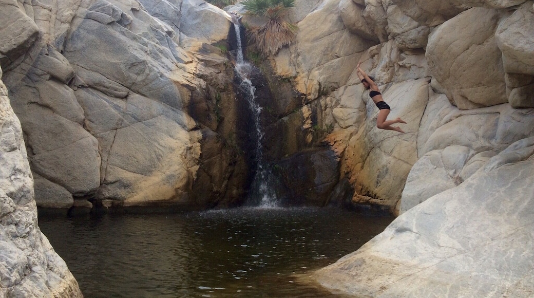 Waterfall #1 is just a mile or two hike from the campgrounds. Be extra alert for trail markers, one goes to the top of the waterfall and the other to the bottom. I recommend the bottom so you can swim up to the waterfall (if you dare!). This was a baby jump you cannot jump from the top of the falls #waterlust