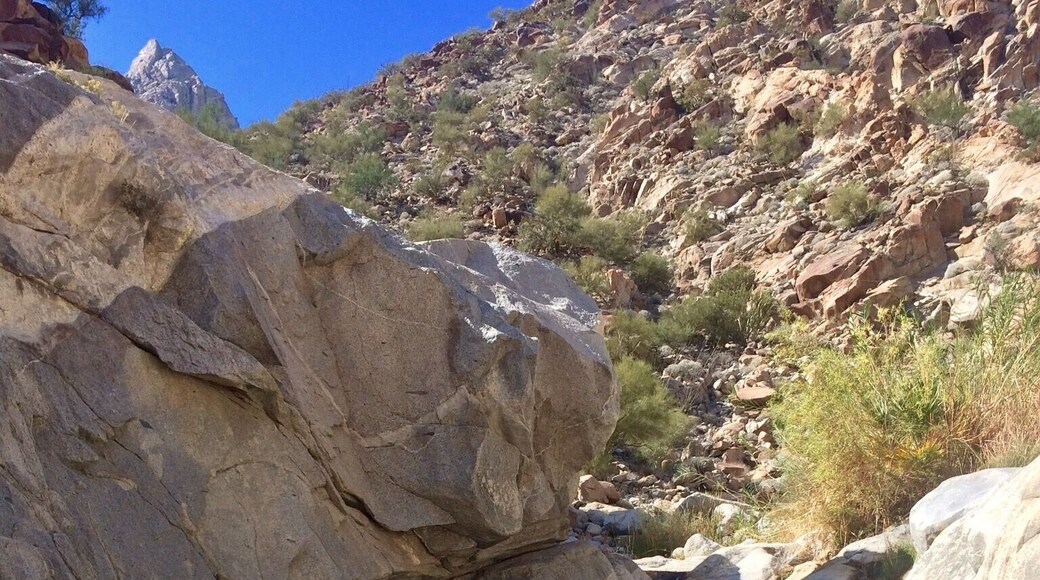 Waterfall number two at Guadalupe Canyon! 3(ish) miles from the campground. Not deep enough to jump from the rocks, but just the right size to swim around :) #waterlust