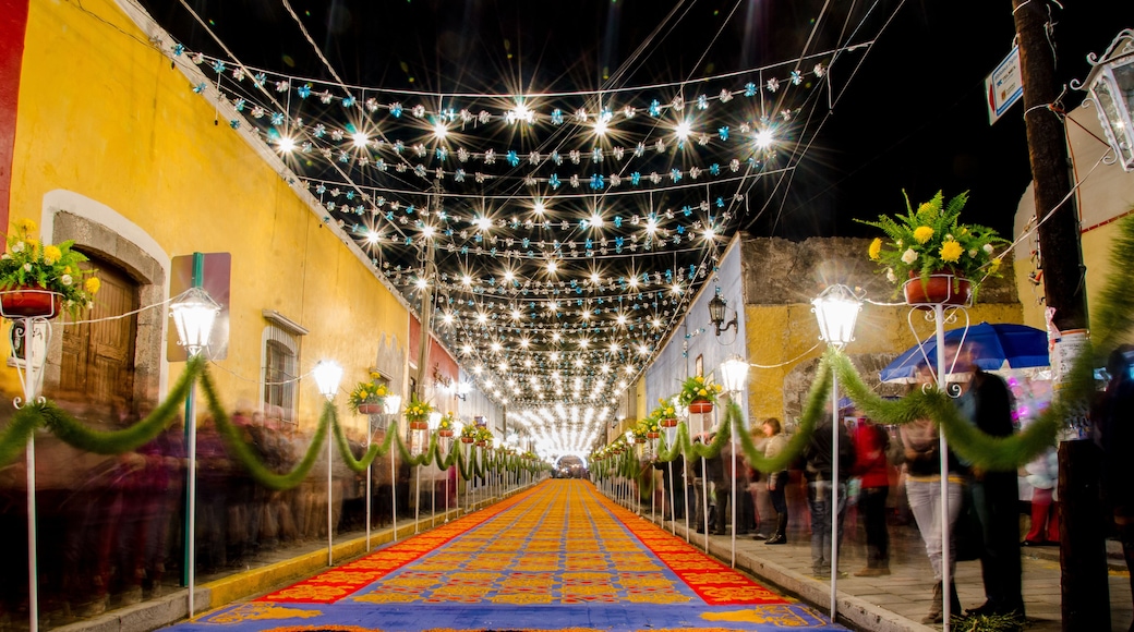 ํ
ํ๋ผํ๋ผ์ฐ์นด