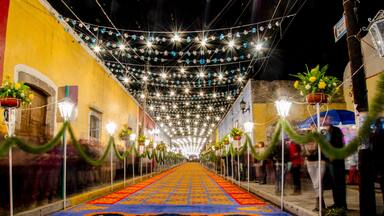 Uma rua decorada com tapete estampado, luzes de cordão e vegetação.