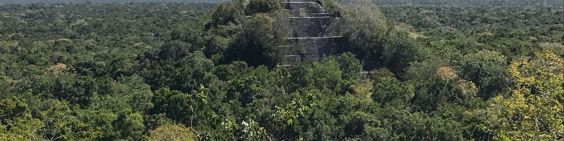 #calakmul #mayacivilization #mayanruins #pyramid #precolonialmexico #yucatanpeninsula #biospherereserve #jungle