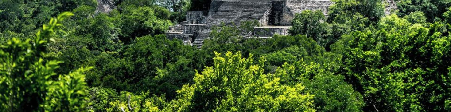 Calakmul has been my favorite mayan site, so far, and the hardest to reach.
The site is really big and its pyramids as big as the one in Chichen Itzá, covered almost completely by the jungle. It's like the mexican Angkor Wat.