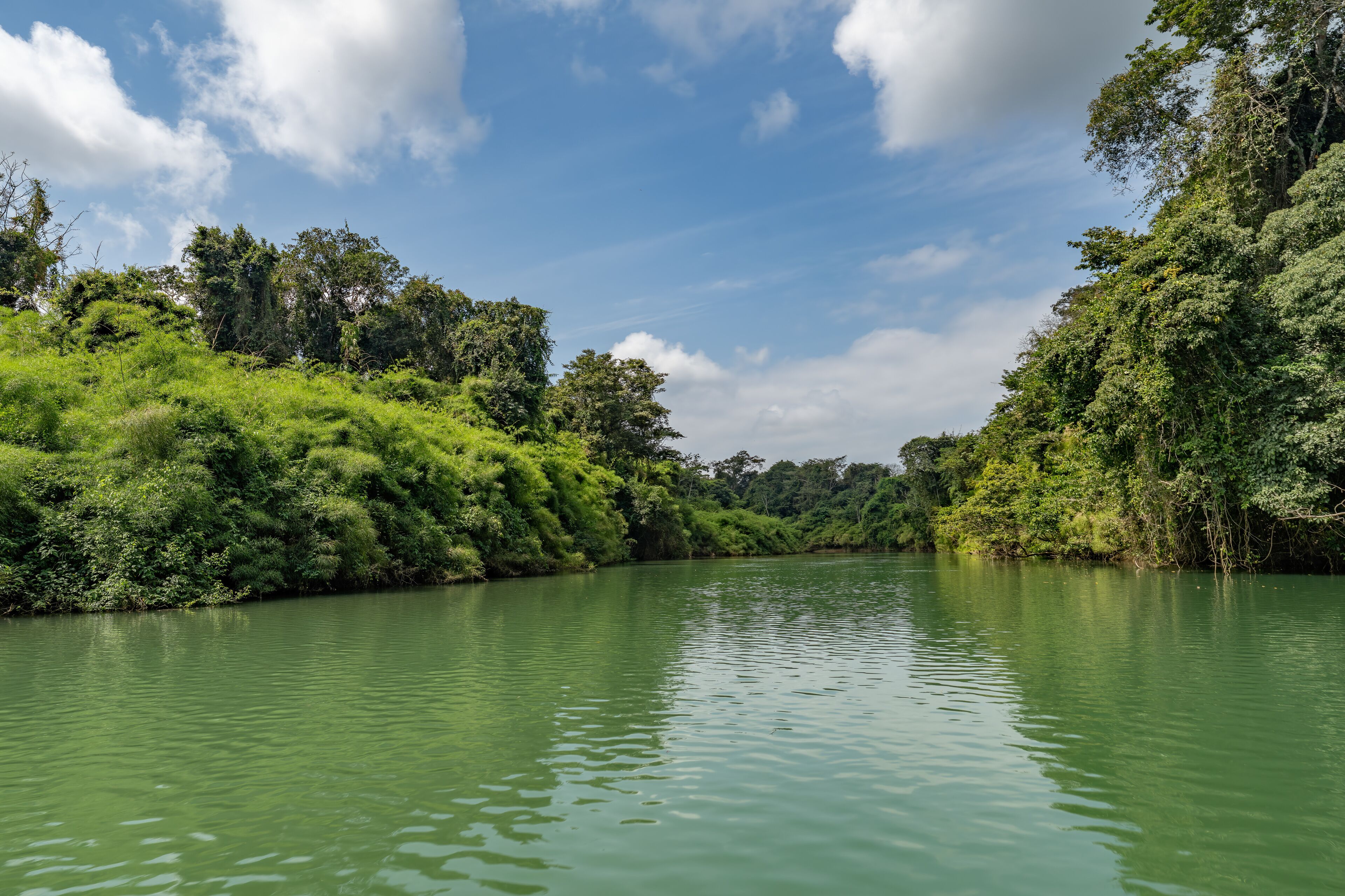 Landscape of the Usumacinta river, the international geographic border between Mexico and Guatemala.