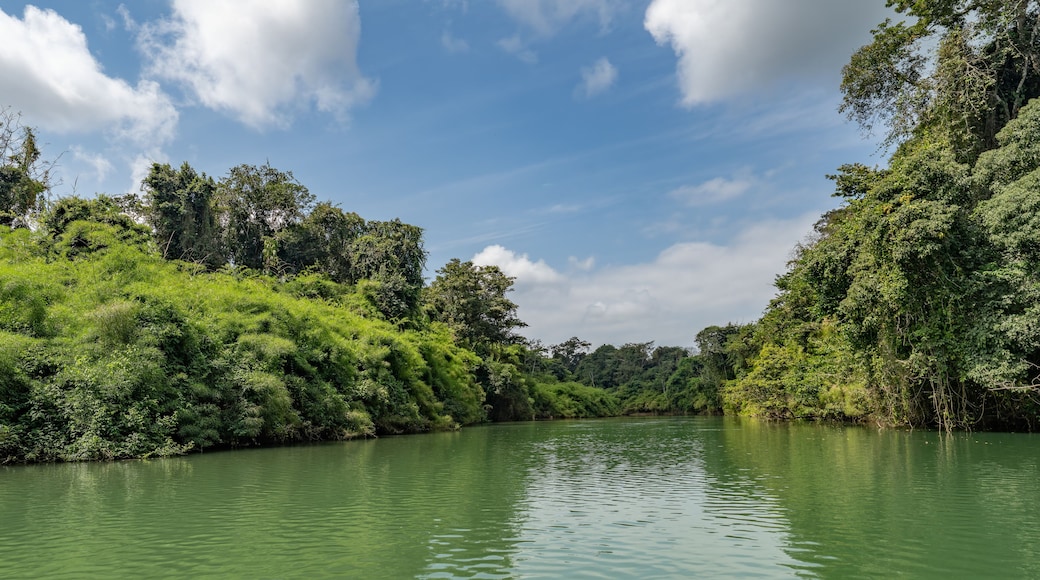 Landscape of the Usumacinta river, the international geographic border between Mexico and Guatemala.