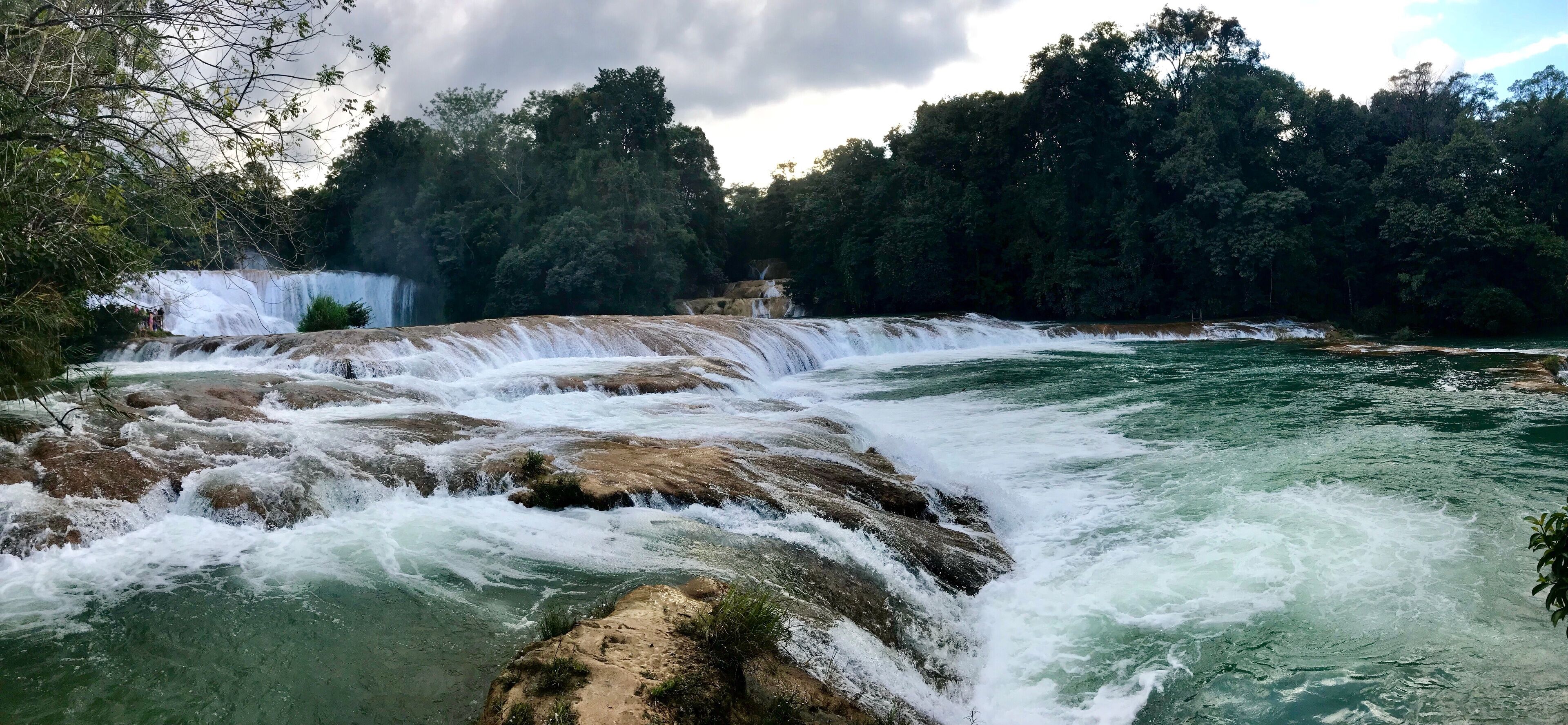 A river with a waterfall, surrounded by dense forest.