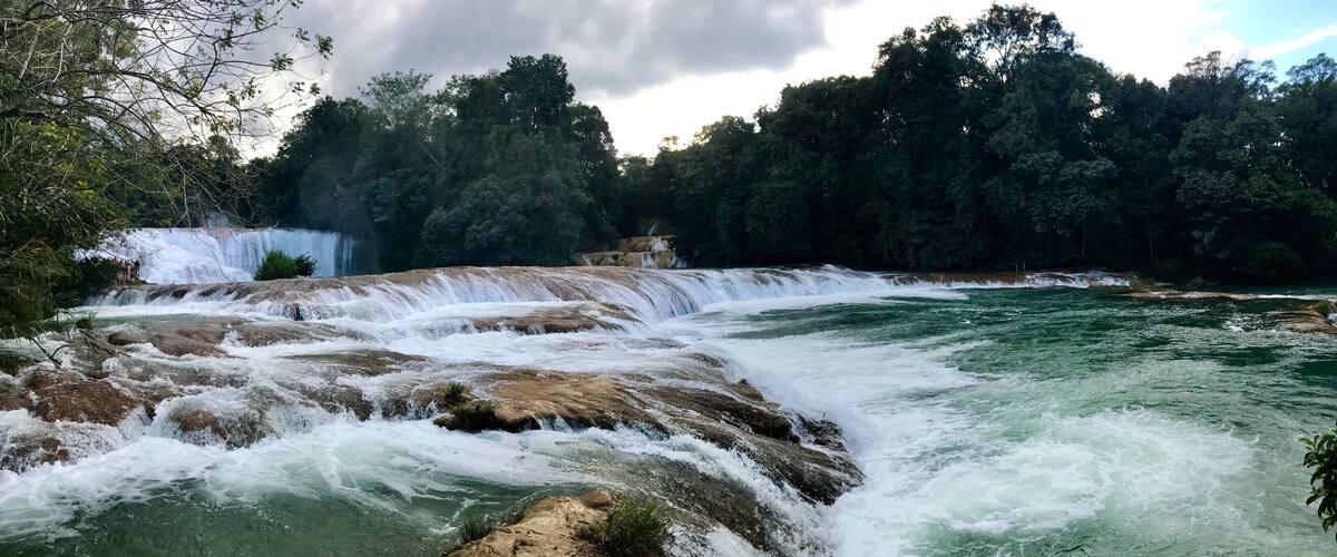 A river with a waterfall, surrounded by dense forest.