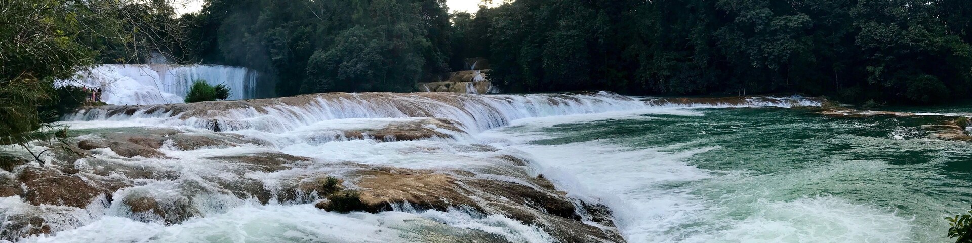 A river with a waterfall, surrounded by dense forest.