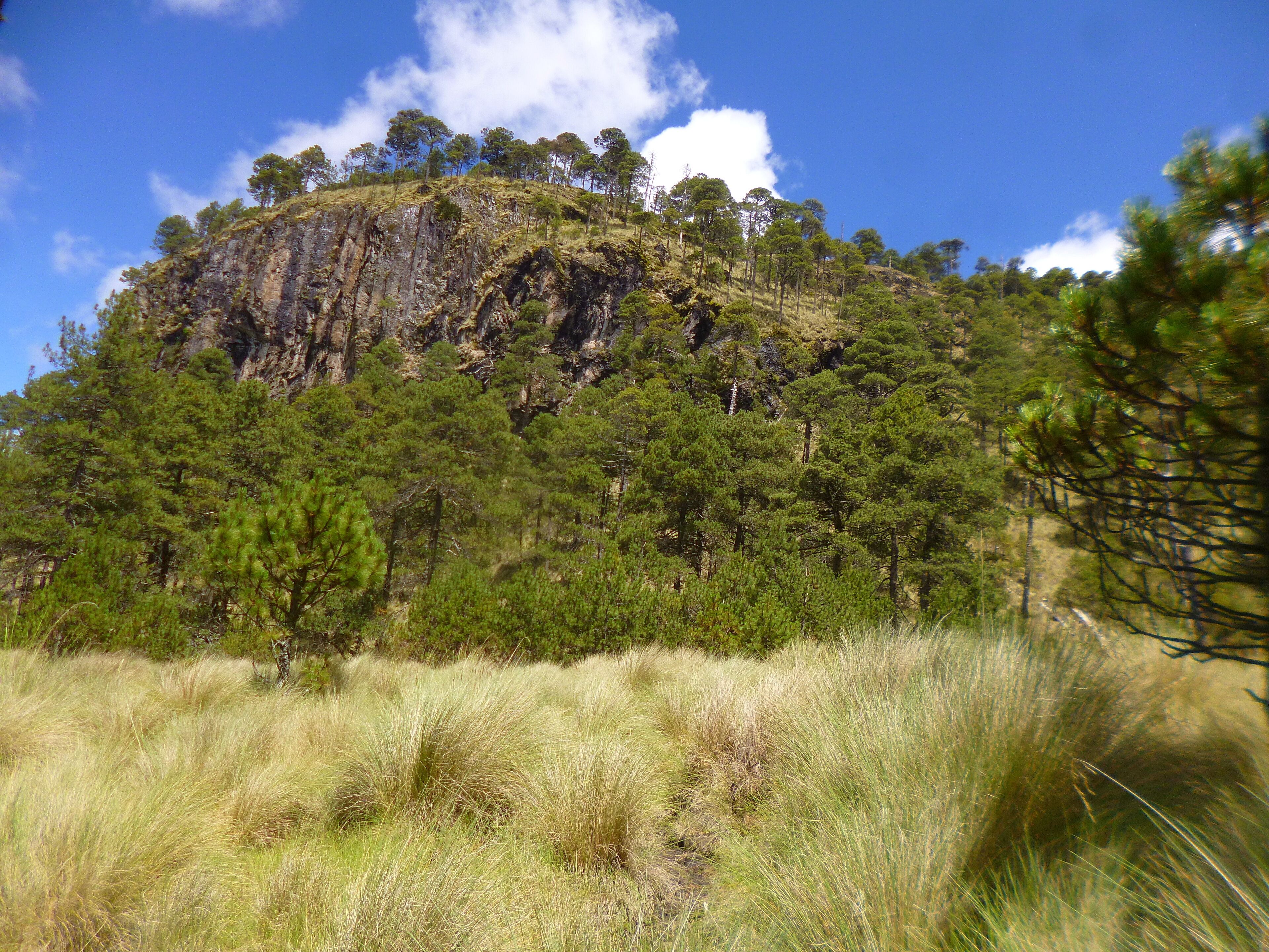 A mountain with dense forests and grassy plains.