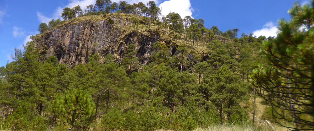 A mountain with dense forests and grassy plains.