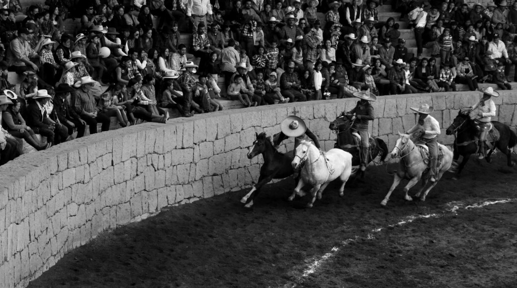 La charreada deporte nacional de México. Pasó de la muerte