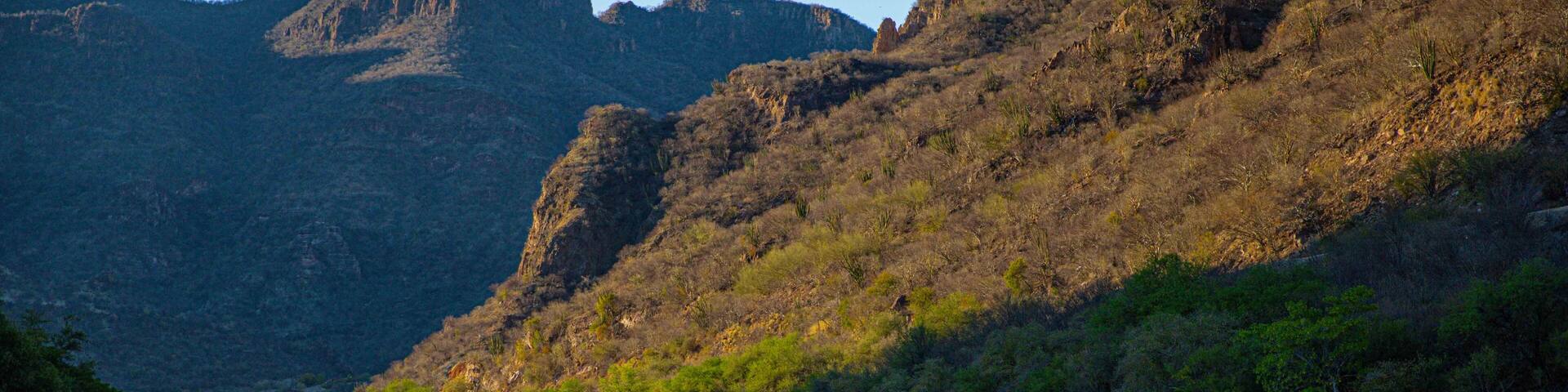 Reflection of a hill and bushes in the water of the Yaqui River as it passes through El Novillo, Sonora, Mexico.
