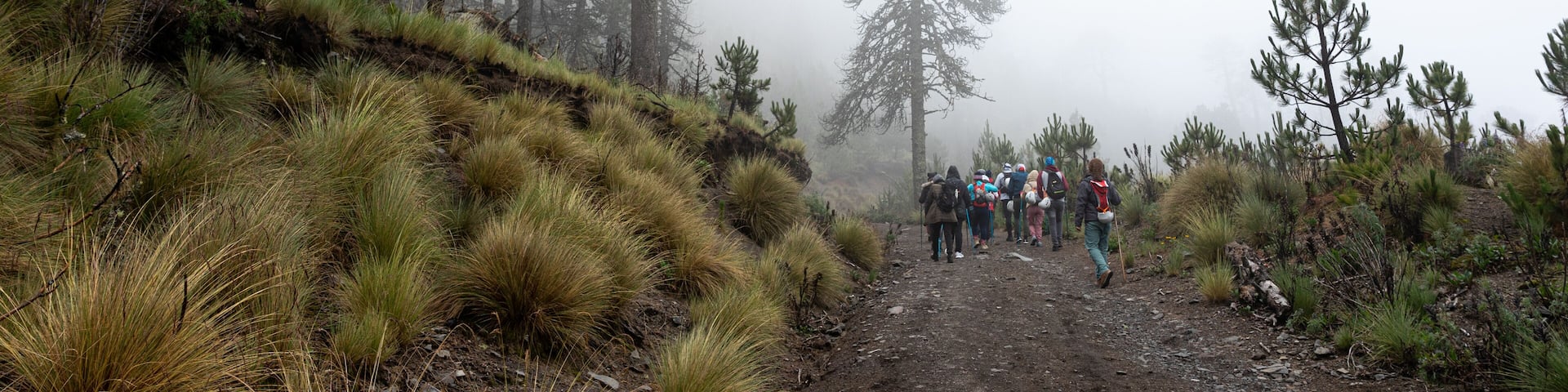 group of hikers in foggy rainforest in the Nevado de colima mountains in ciudad guzman, jalisco.