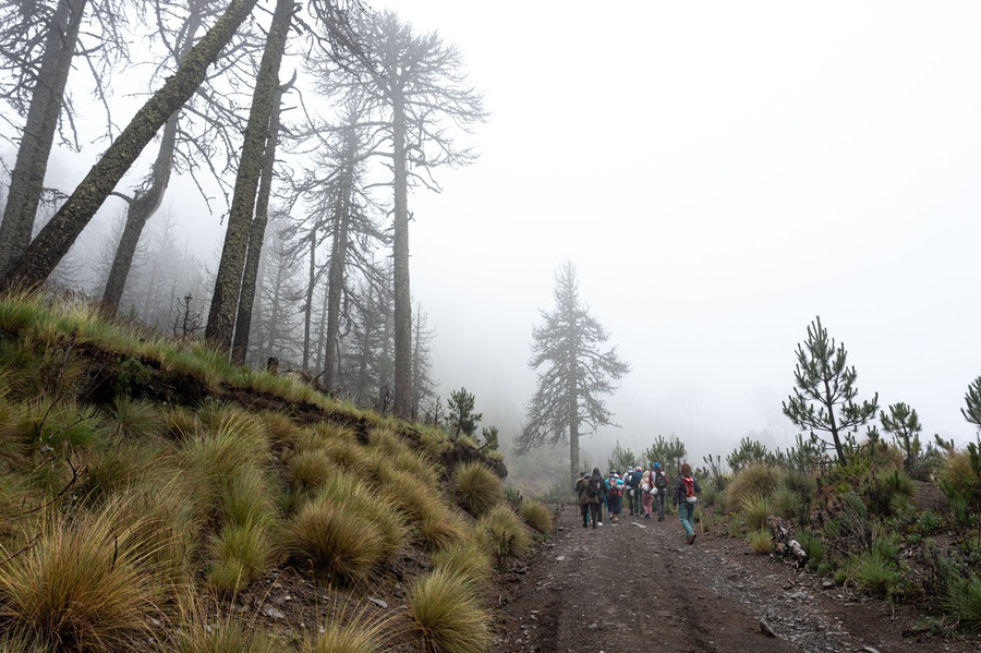 group of hikers in foggy rainforest in the Nevado de colima mountains in ciudad guzman, jalisco.