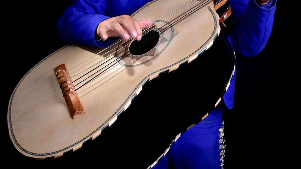 A person playing a stringed musical instrument with a circular sound hole and a decorative rosette.
