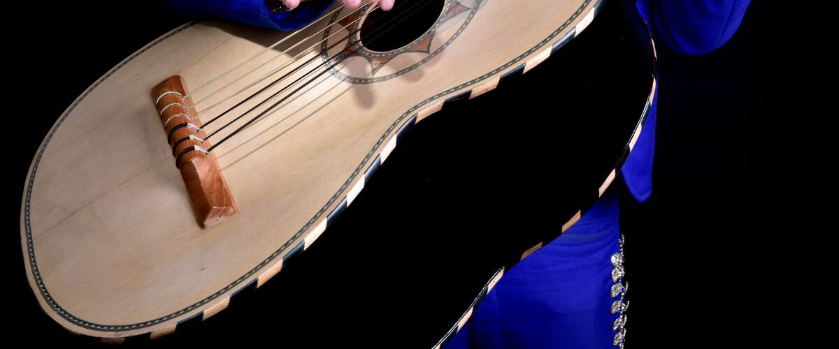 A person playing a stringed musical instrument with a circular sound hole and a decorative rosette.