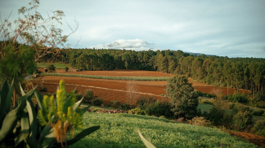 Cofre de perote envuelto en una nube