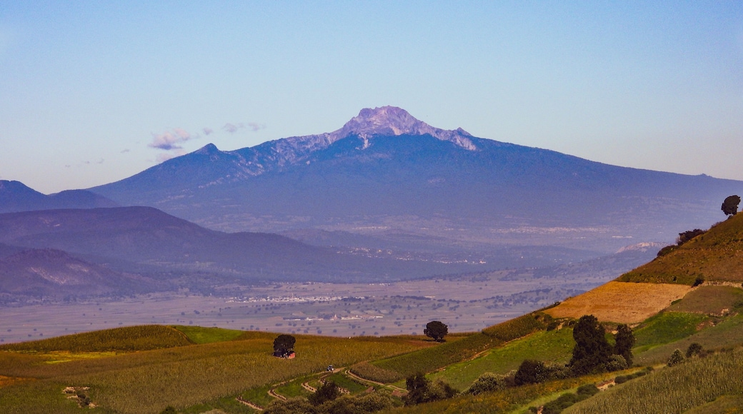 El Parque Nacional Cofre de Perote, es una gran montaña situada en Veracruz, Mexico con 4,282 metros sobre el nivel del mar.