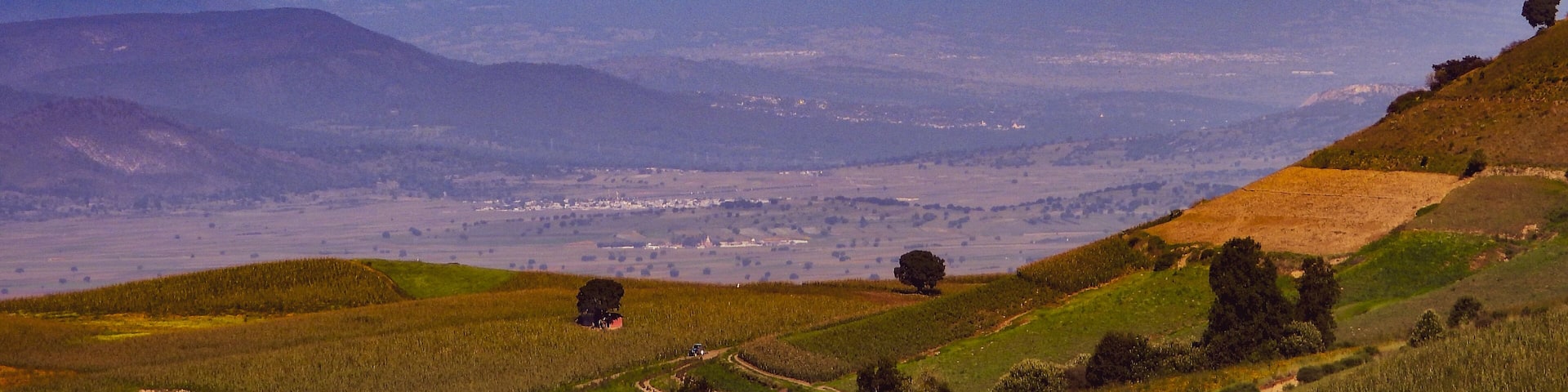 El Parque Nacional Cofre de Perote, es una gran montaña situada en Veracruz, Mexico con 4,282 metros sobre el nivel del mar.