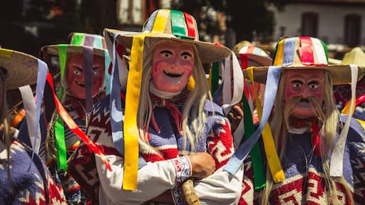 danza de los viejitos