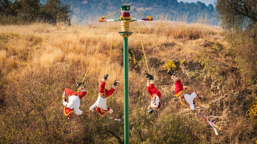 Mexico dance of the flyers