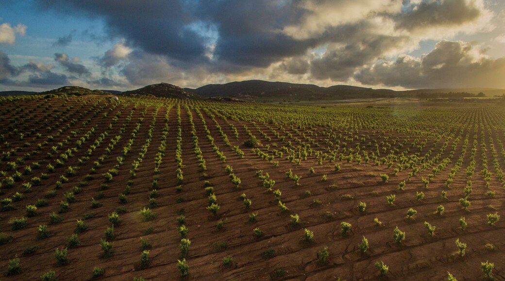 ๋ก๋ง ๋ณด๋ํ