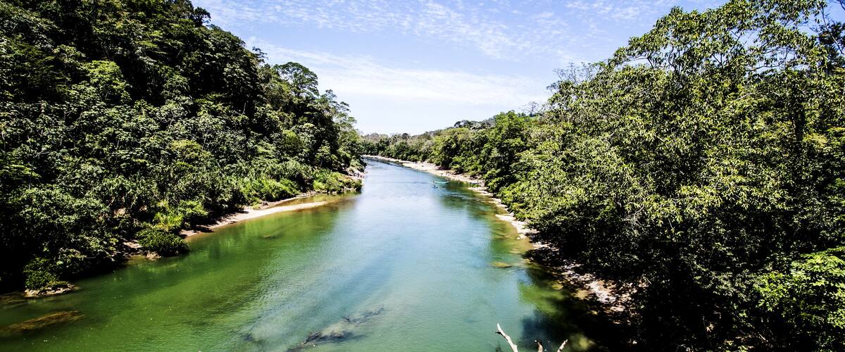 A river flanked by dense green foliage, clear water, and a distant shoreline.