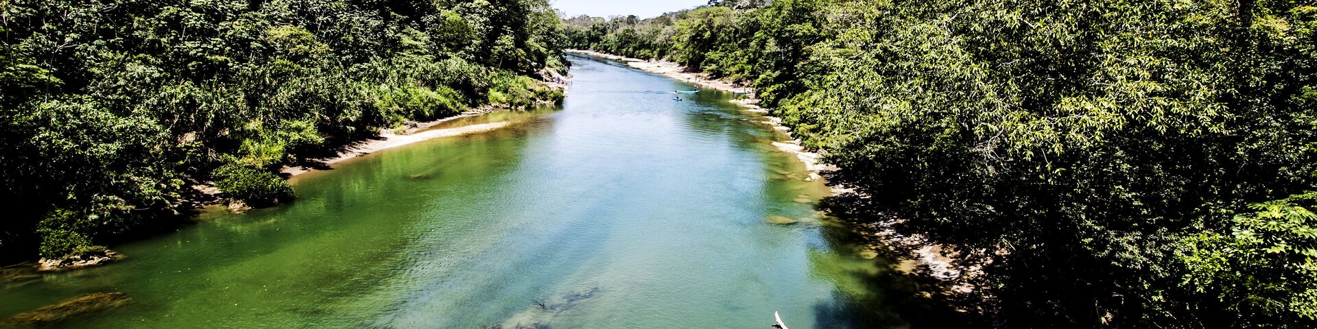 A river flanked by dense green foliage, clear water, and a distant shoreline.