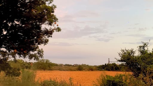 Un atardecer en el campo #countryside #sunset