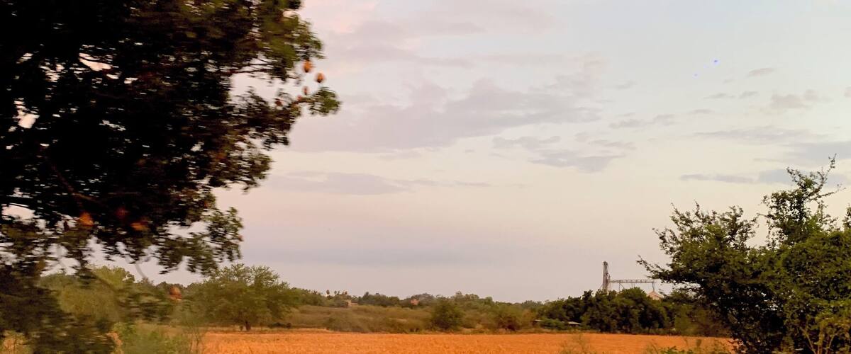 A field with a fence in the foreground and a tree to the left.
