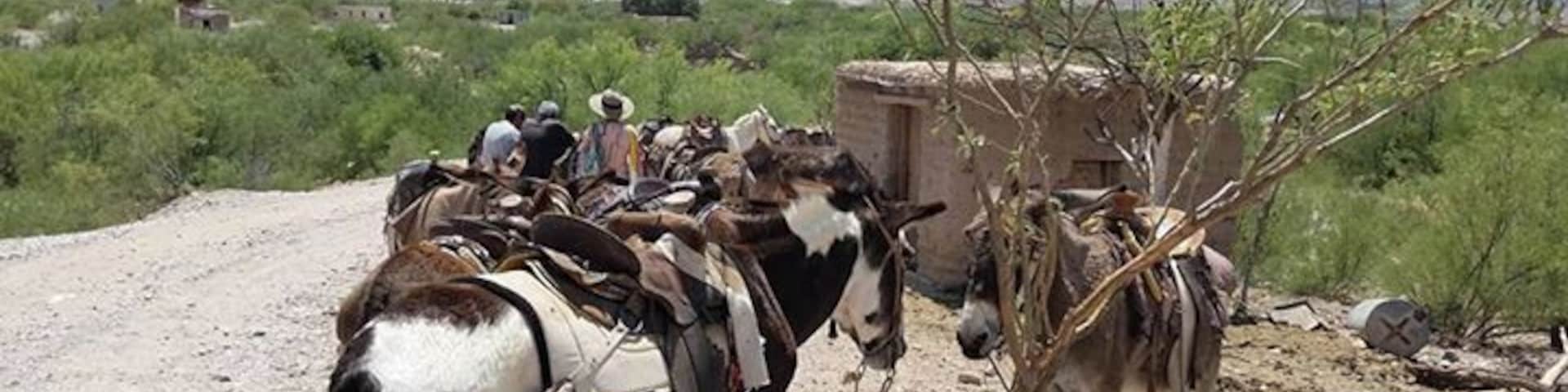When in Big Bend, make this unique border crossing across the Rio Grande in a rowboat, then take a burro into town. Or...The burros are very stubborn, and won't move unless a herder makes them (with a stick). We read that we should just walk the 1/3 mi. to the town. So we did.
Read more about our adventures in Big Bend at https://rvluckyorwhat.com/2016/04/28/big-bend-the-most-amazing-national-park-youve-never-heard-of/
#Boquillas #Mexico #US #BigBend #NationalPark #burros #unique #bordercrossing