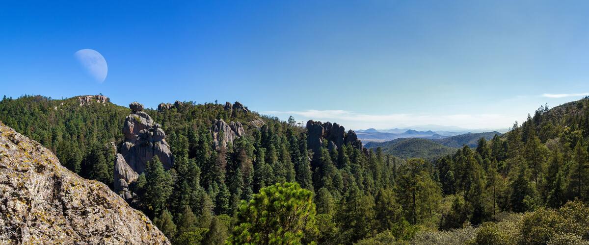 A mountainous landscape with dense forests, rocky outcrops, and a visible moon in the sky.