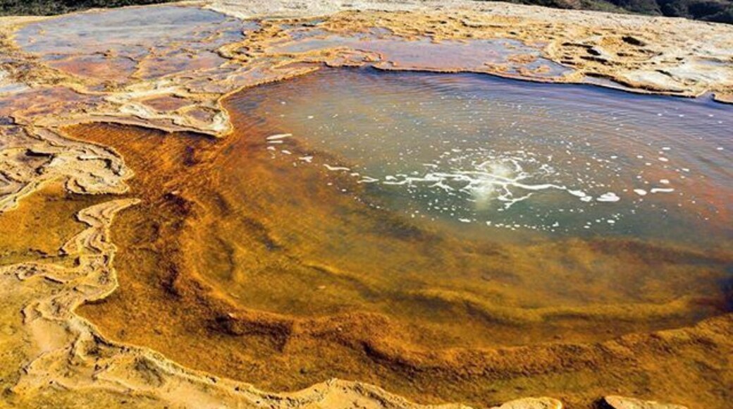 Gas bubbles in a mineral pool on top of Oaxaca's Hierve el Agua. The mineral filled water slowly leaks over the mountain's edge and has formed a giant stone waterfall as time has past. The incredible Mexican scenery surrounding the "Stone Falls" doesn't hurt either ;-) #Oaxaca #Mexico #Nature #HierveelAgua