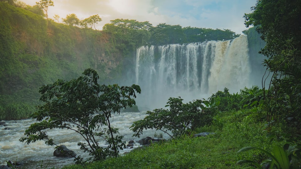 A waterfall surrounded by lush greenery.