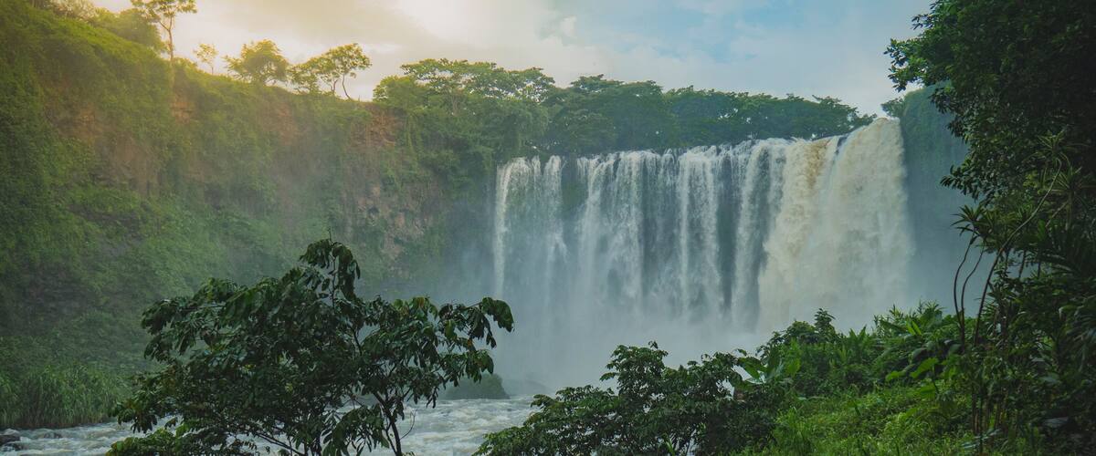 A waterfall surrounded by lush greenery.