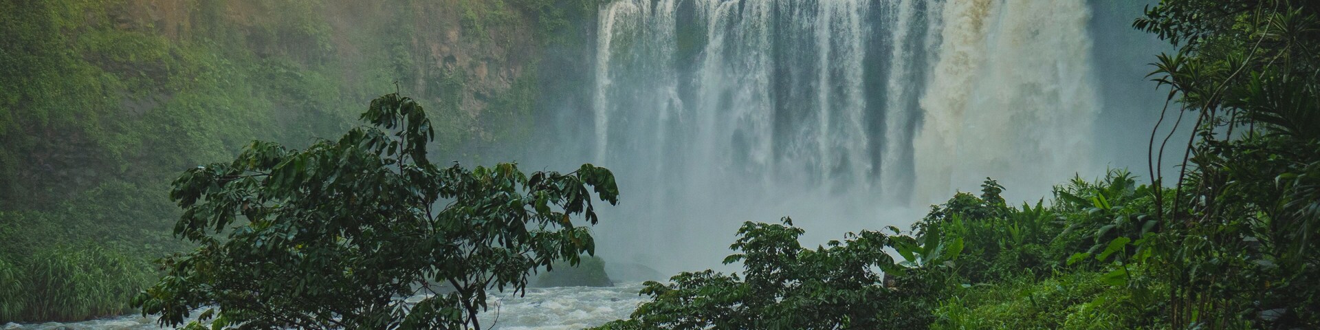 A waterfall surrounded by lush greenery.