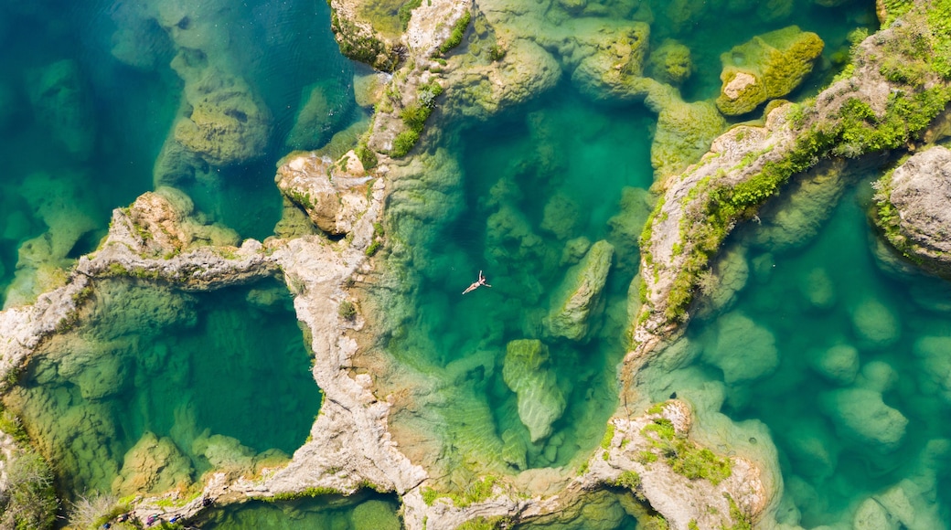 El Salto