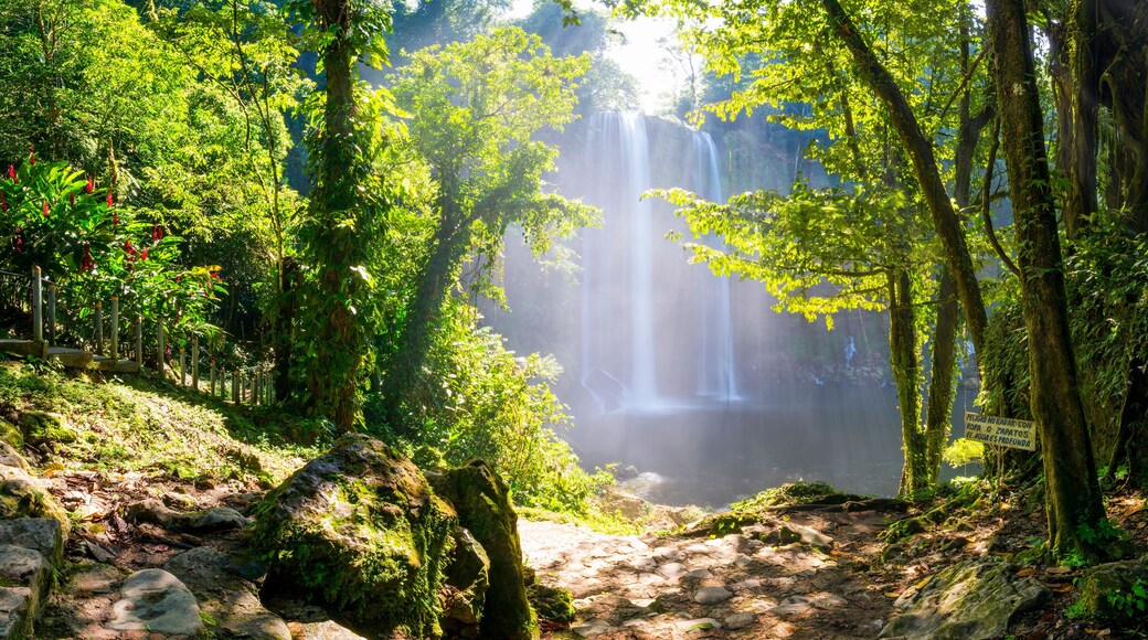 Misol Ha Waterfall Mexico