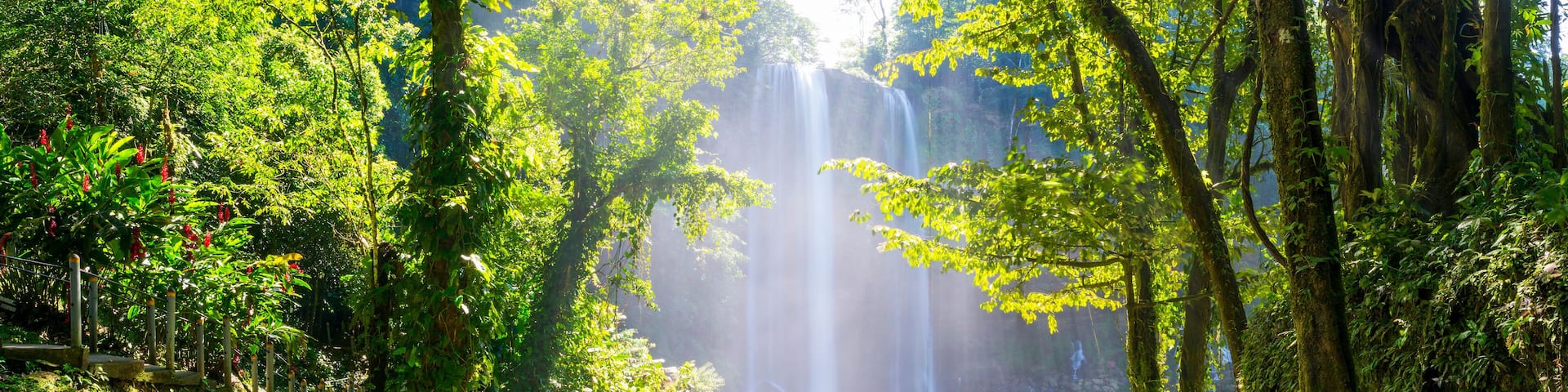A forested area with a waterfall and a sign in Spanish.