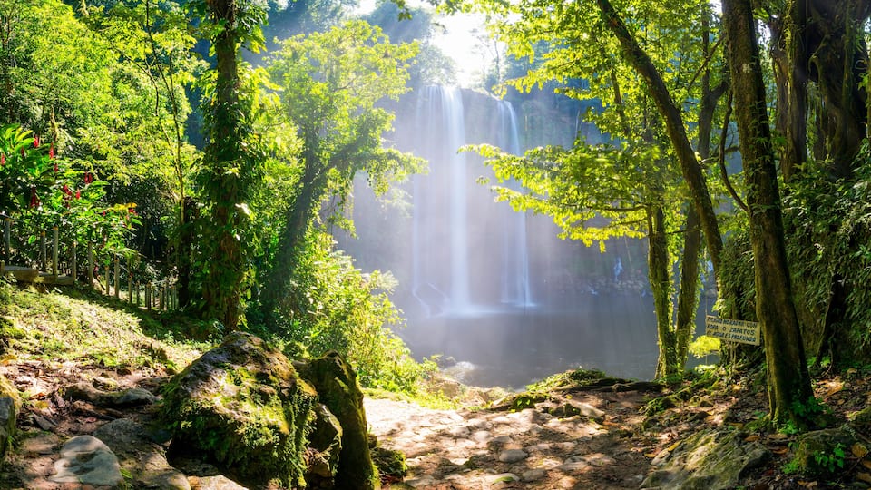 Misol Ha Waterfall Mexico