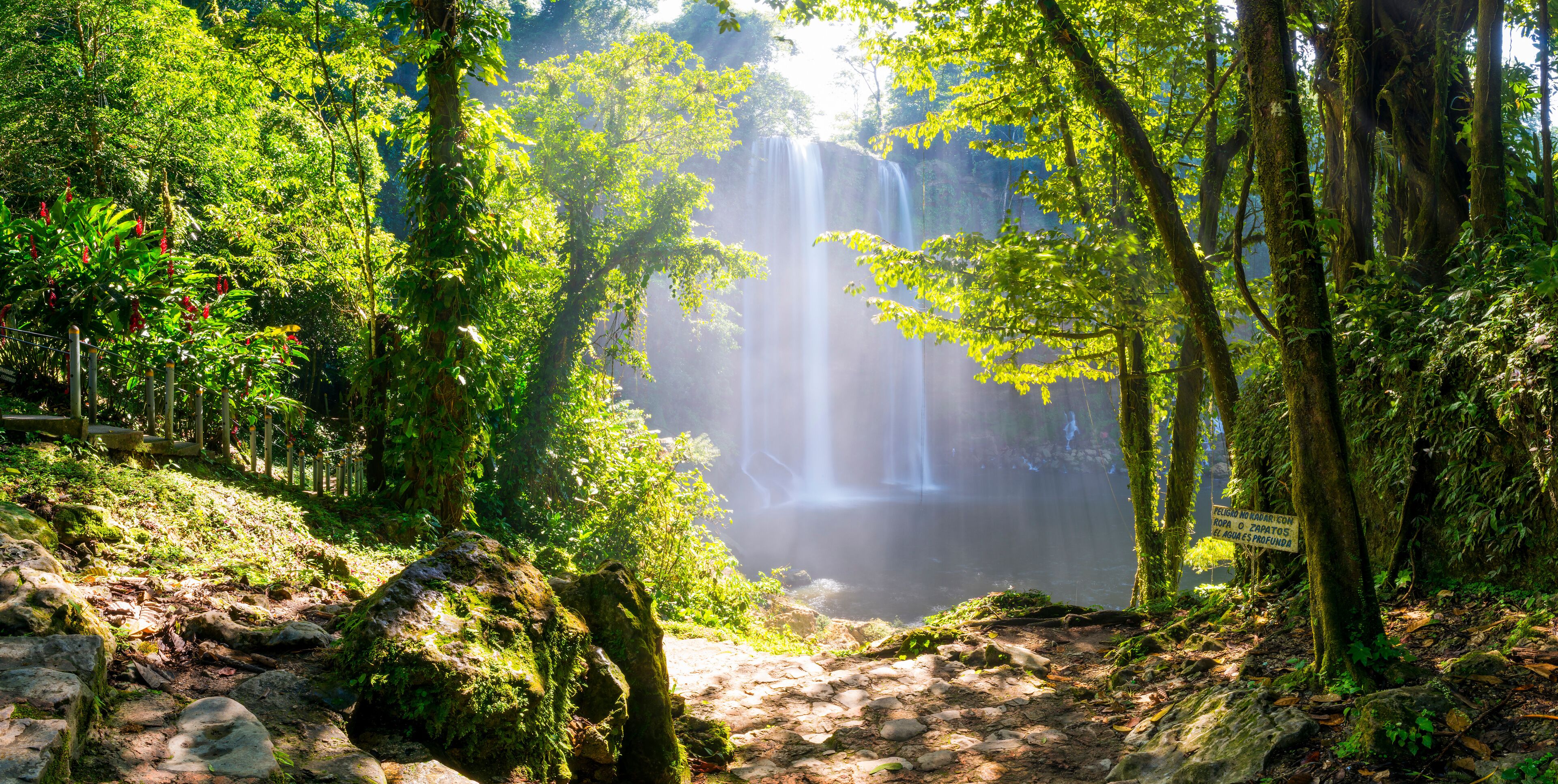 A forested area with a waterfall and a sign in Spanish.