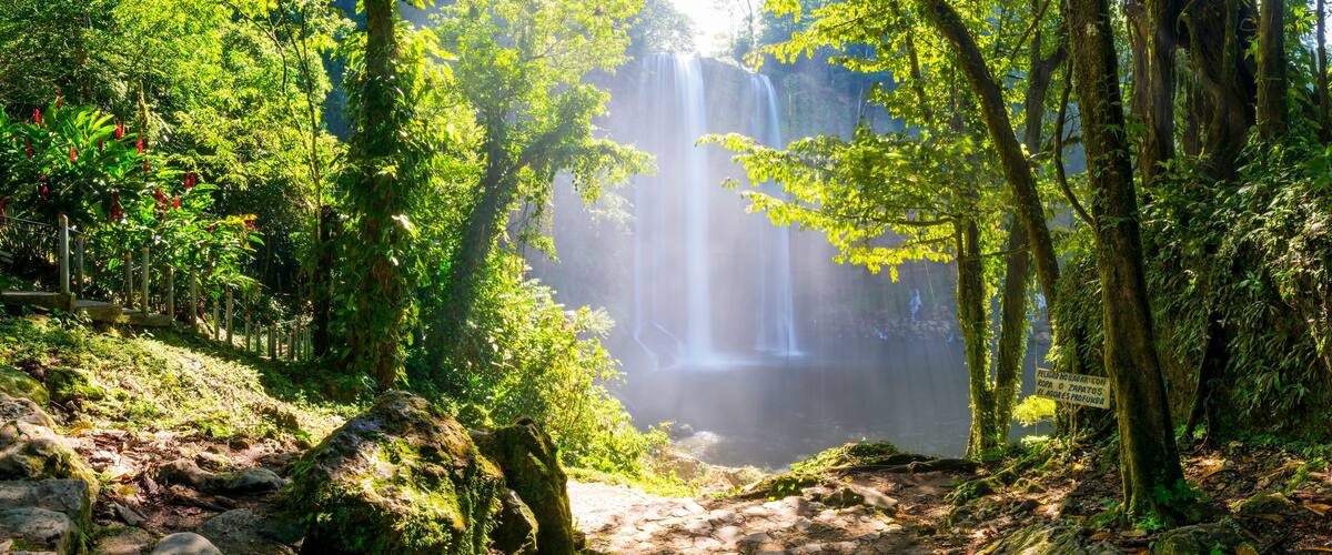 A forested area with a waterfall and a sign in Spanish.