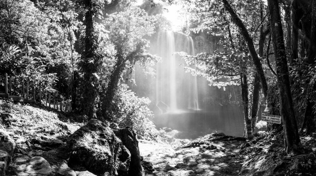 Misol Ha Waterfall Mexico Black and White