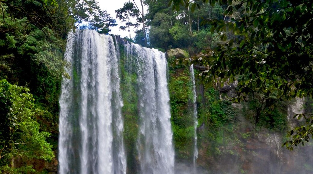 It's well-known in cine-culture as the "Predator" waterfall, but Misol-Ha (it's real name) needs no cultural reference. It is flocked to and admired for its rugged, steamy beauty and the cool, carved rock shelf beneath which visitors can stand and feel the body-numbing force of the water as it thunders down in front of them. The little hike down to the back of the falls is slippery but worth it (wear sturdy shoes!). It's pool is also the perfect place for a quick dip. The eco lodge there offers cabins near the falls as well as a restaurant. Well worth a day trip or a stay. • http://www.misol-ha.com/en/index.html • #Chiapas #Mexico #waterfalls #jungle #cabins #cinetrove #localgem