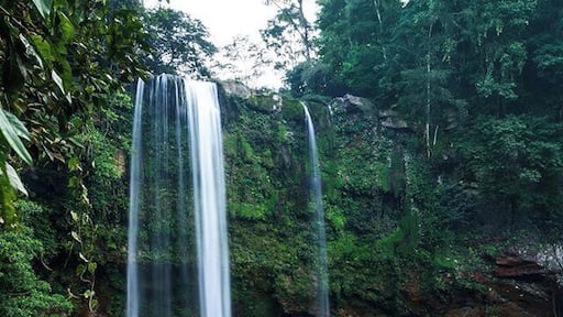 The Misol-Ha waterfall in Chiapas, Mexico. We only had 30 minutes, but we could easily spend a couple hours here! #Waterfall #Nature #Mexico #Chiapas #Hiking