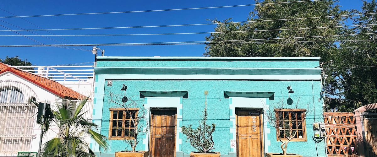 A turquoise building with wooden doors and windows, surrounded by potted plants and power lines.