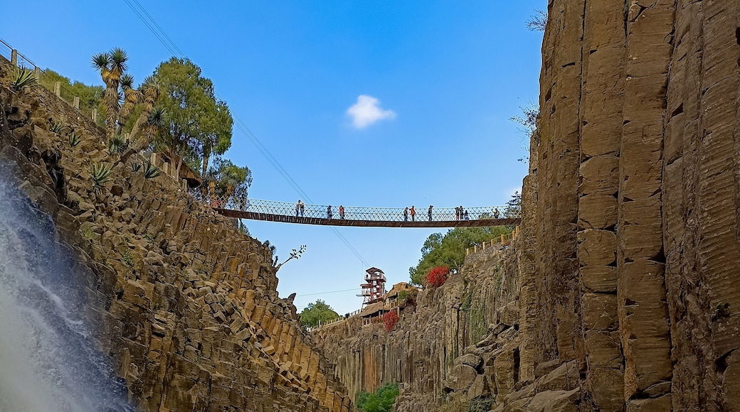 San Agustín Metzquititlán