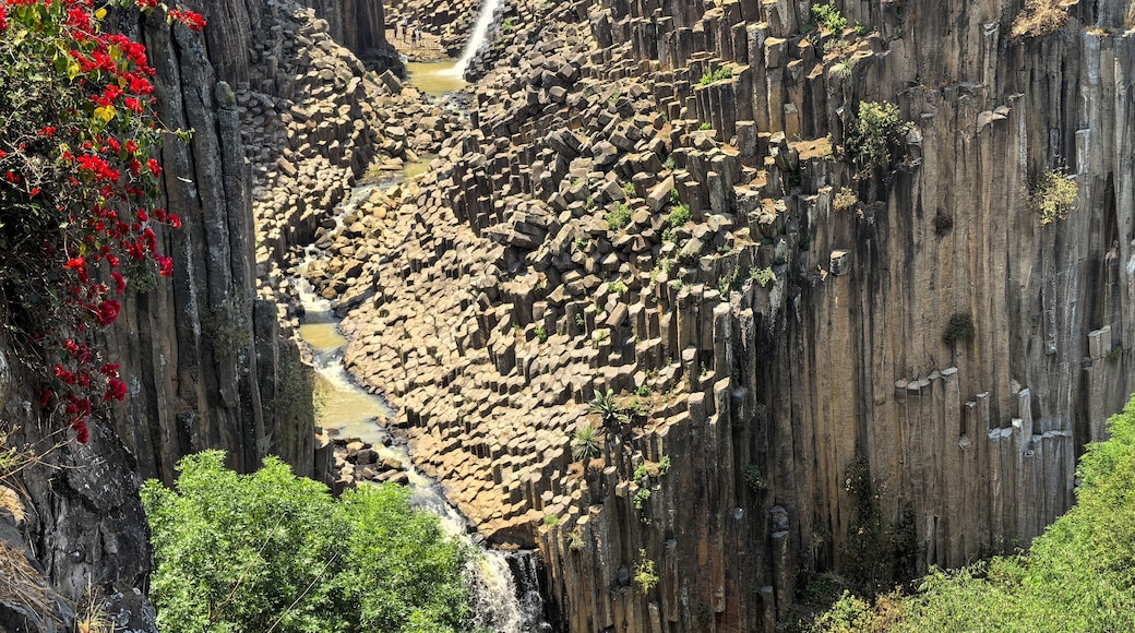 San Agustín Metzquititlán