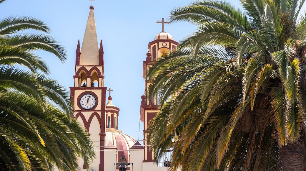 Church of the Divine Savior in the main garden of Doctor Mora Guanajuato