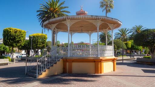 ドクトール モラ